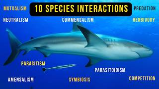 10 Species Interactions in Ecosystem with ExamplesEcology 6 Minutes [upl. by Amelia]