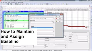 PPM P6  08 Maintain and Assign Baseline [upl. by Gottuard]