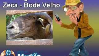 Mucaocombr  Pegadinha  Bode Velho [upl. by Duile]