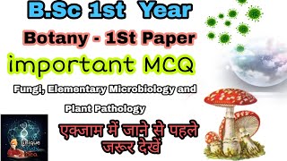 BSc Ist Year Botany 1st Paper Imp MCQ  Fungi Elementary Microbiology and Plant Pathology [upl. by Halliday693]