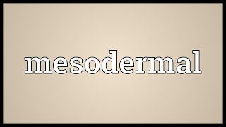 Mesodermal Meaning [upl. by Wein832]