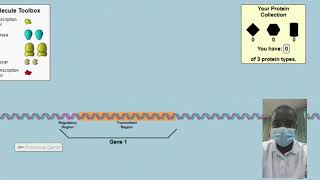 Gene Expression Simulation  Science Experiment  Virtual Lab Simulation [upl. by Dalila]