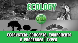 8 Ecology Ecosystem Concepts Components amp ProcessesTypes of EcosystemOpen SystemClosed System [upl. by James]