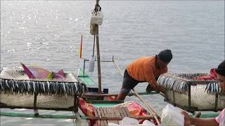 Long Line Fishing on Bantayan Island in the Philippines [upl. by Shermy]