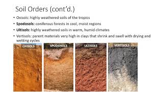 Soil Classification and Survey [upl. by Attenev787]