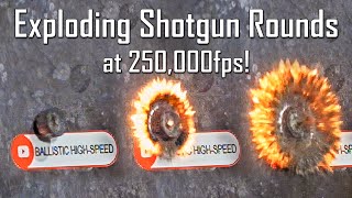 Exploding Shotgun Rounds at 250000FPS  Ballistic HighSpeed [upl. by Eliott]