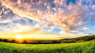 6 Hour Ambient Soundscape Relaxing Nature Summer Sounds  An English Country Meadow [upl. by Worlock]