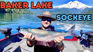 Baker Lake Sockeye Salmon Fishing July 7 2024 [upl. by Keare]