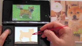 3DS Nintendogs  Cats Shiba [upl. by Akiehsat]