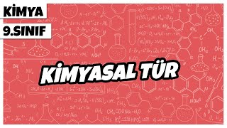 9 Sınıf Kimya  Kimyasal Tür  2022 [upl. by Aiam97]