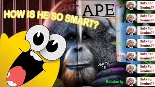 PSP1G Reacts  The Ape That San Diego Zoo Couldn’t Contain [upl. by Wesa]