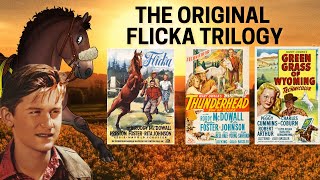 Reviewing the Original Flicka Trilogy My Friend Flicka Thunderhead Green Grass Of Wyoming [upl. by Liborio]