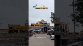 Murugan Songs in Tamil  முருகன் பக்தி பாடல்கள்  Murugan Whatsapp Status Tamil  Kandhan Devotees [upl. by Toth]