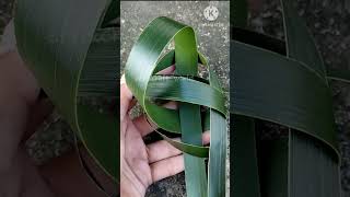 How to make bird from coconut leafcraft with real leafshorts ytshorts video [upl. by Jamesy854]