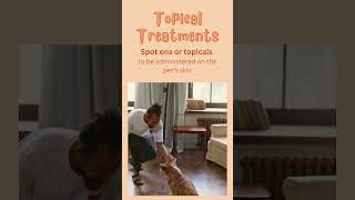 4 Common Types of Parasitic Treatments for Fleas amp Ticks [upl. by Pollux]