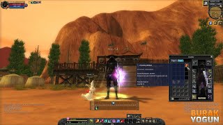 Silkroad Online  What is Precious Artifact [upl. by Adnovahs]