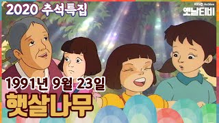 🌰🍚2020추석특집 햇살나무 KBS 910923 방송 [upl. by Lichtenfeld]