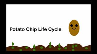 Life Cycle of a Potato chip [upl. by Rauscher93]