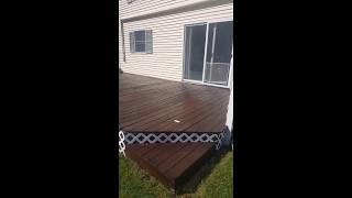 Cabot Gold Deck Stain Review Moonlight Mahogony [upl. by Hermione]