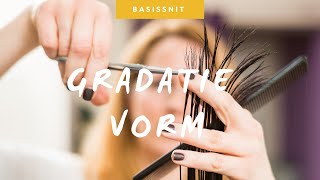 Gradatie vorm basissnitten [upl. by Dot723]