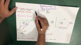 Introduction to Bioenergetics  Part 2 Biochemistry [upl. by Newcomb411]