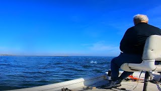 Mouth of the Housatonic  Topwater [upl. by Tosch]