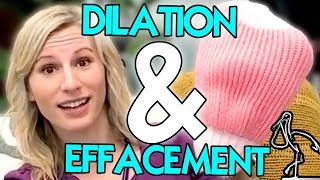 Dilation and Effacement Explained [upl. by Hacker]