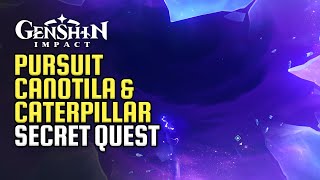 Pursuit Secret World Quest Complete Guide  Canotila amp Caterpillar Book Of Revealing  Genshin 42 [upl. by Holna714]