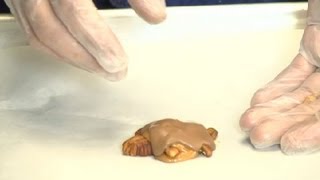 How to Make Chocolate Caramel Candy Turtles  Chocolate Dreams [upl. by Ardle995]