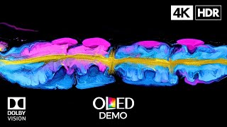 Vibrant OLED Demo 4K 60fps HDR Dolby Vision [upl. by Bahe]