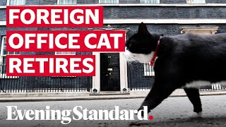 Palmerston the Foreign Office cat retires from Chief Mouser duties [upl. by Idnem221]