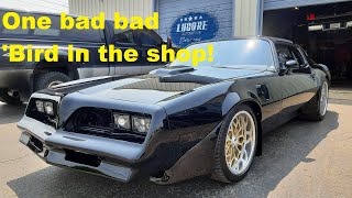 Stunning quotBandit Trans Amquot in the shop Top of OUR want list 1977 Pontiac Trans Am Build [upl. by Enait]