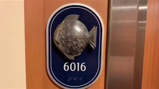 Disney Dream Stateroom 6016 Category 8A [upl. by Akinad]