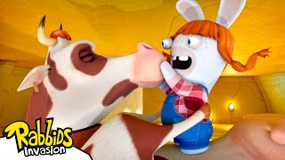 Cow and Rabbid 🐮 S04E61  RABBIDS INVASION 🐰  New episode New Season  Cartoon for Kids [upl. by Llertac]