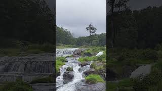 Down side Pykara falls  ooty  shorts [upl. by Aivataj]