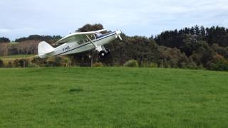 Spectacular Takeoff Oratex covered Bearhawk 4 seater New Zealand [upl. by Ryle978]