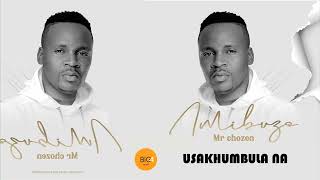 Mr Chozen  Usakhumbula na [upl. by Akemak]