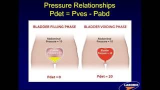 LABORIE Webinar Series Components of Urodynamic Testing [upl. by Eenahpets]