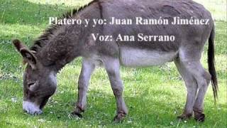 platero y yowmv [upl. by Nuavahs123]