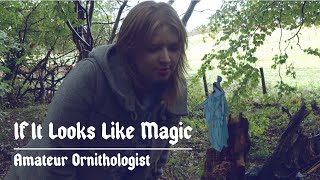 Amateur Ornithologist  If It Looks Like Magic Official music video [upl. by Sualakcin]