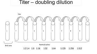 Rh antibody titre DMLT 1 [upl. by Akahc435]