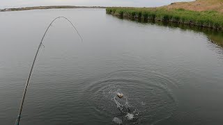 Bass Fishing in Eastern Washington [upl. by Jannery]