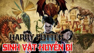 Sinh Vật Huyền Bí Trong Harry Potter 1  Tìm Hiểu Quanh Ta [upl. by Shiff]