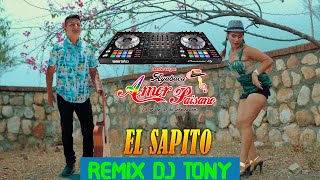 El Sapito  Amor Paisano  Remix Dj Tony  BPM112 [upl. by Nnylcaj]