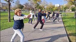 Tai Chi al aire libre Sevilla [upl. by Acinot]