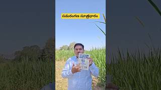 సమరంగణ సూత్రధారం vastubook harivastu telugu devullu com [upl. by Bela]