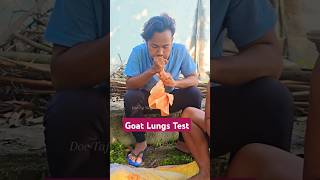 Goat Lungs Test in Local Areas in primitive style by Anil Tajpuriya lungs test funny video [upl. by Adelric]