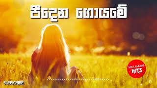 Pidena Goyame  Nanda Malini පීදෙන ගොයමේ Pidhena Goyame Piidhena Goyame [upl. by Aelhsa588]