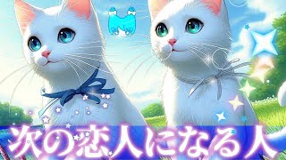 【次の恋人になる人🐰】見たときがタイミング💝【タロット＆るのるまん＆オラクルリーディング🦋💎】 [upl. by Amla]