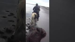 Black Sand Beaches Ride  🇮🇸 🐴 iceland horses [upl. by Reema]